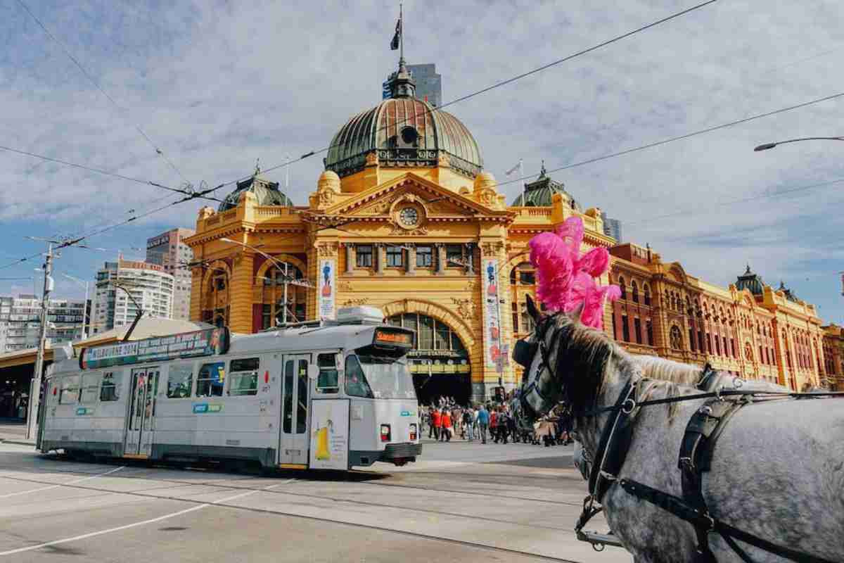 GLIMPSES OF AUSTRALIA 6N