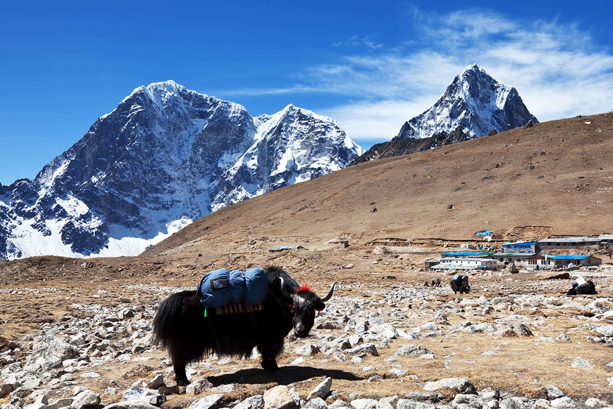 SIKKIM DARJEELING